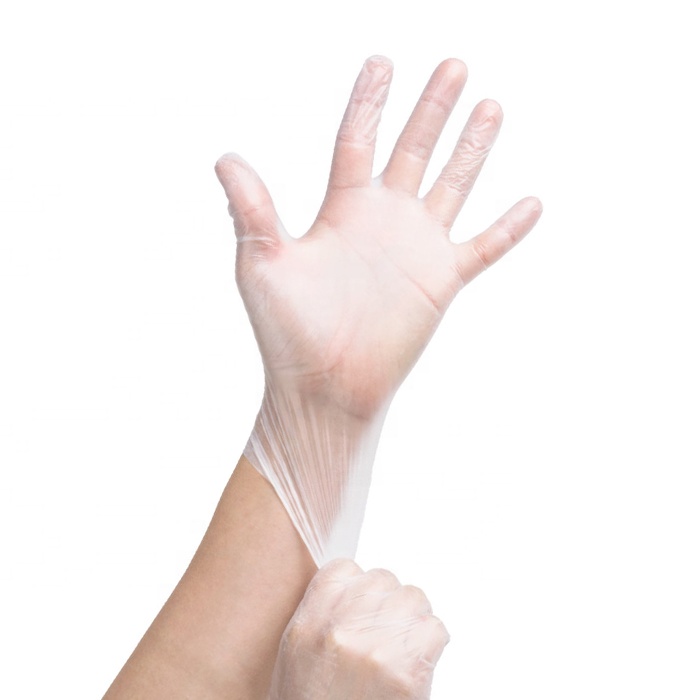 Powder Free Vinyl Disposable Gloves