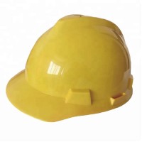 Custom Safety Helmet